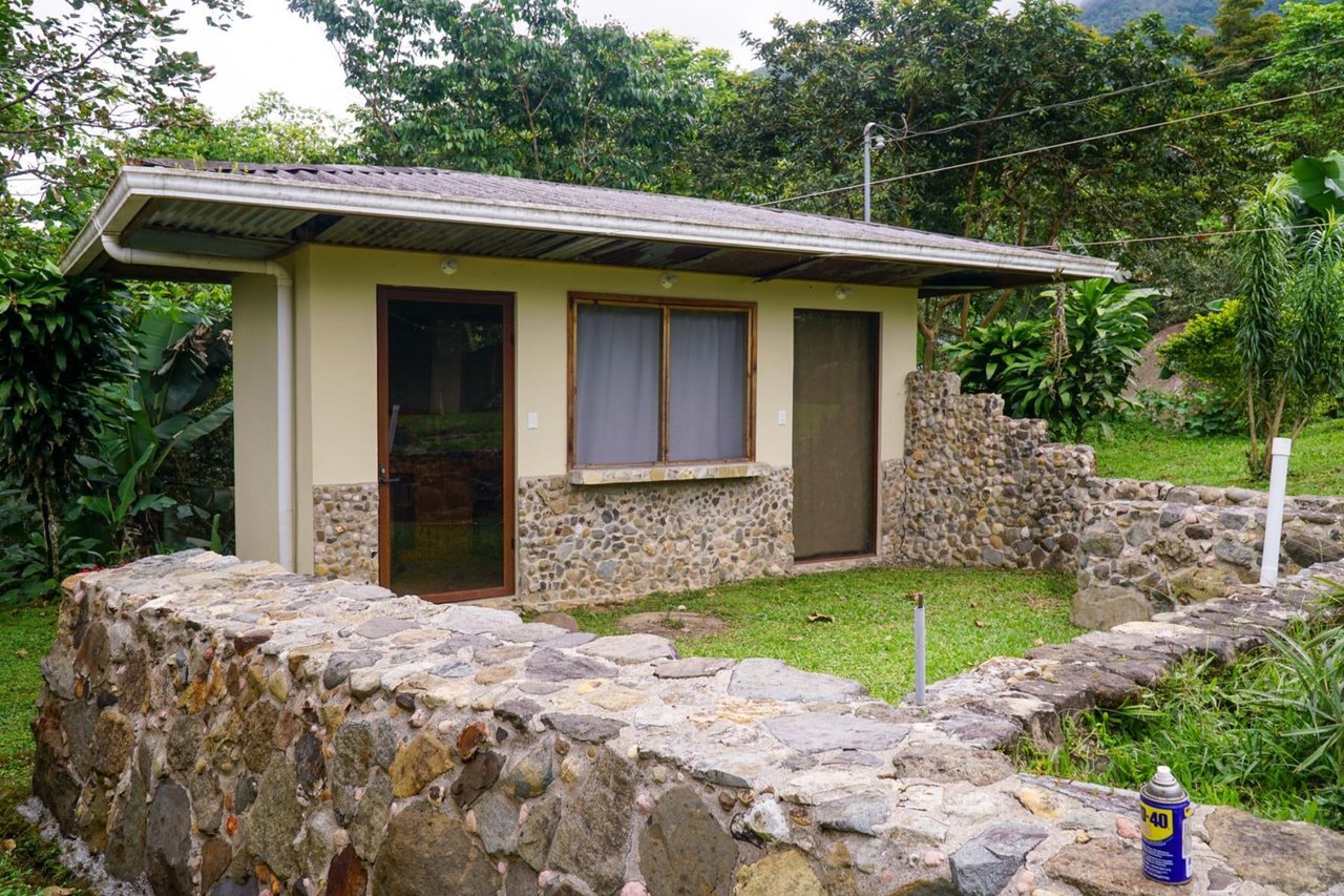 Sustainable Organic Mountain Farm, Perez Zeledon, San Jose