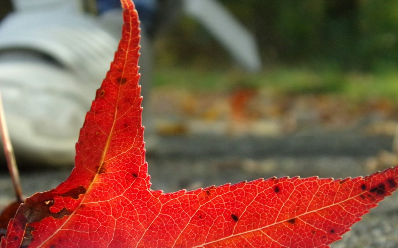 East Bay Fall Fun in 2022!