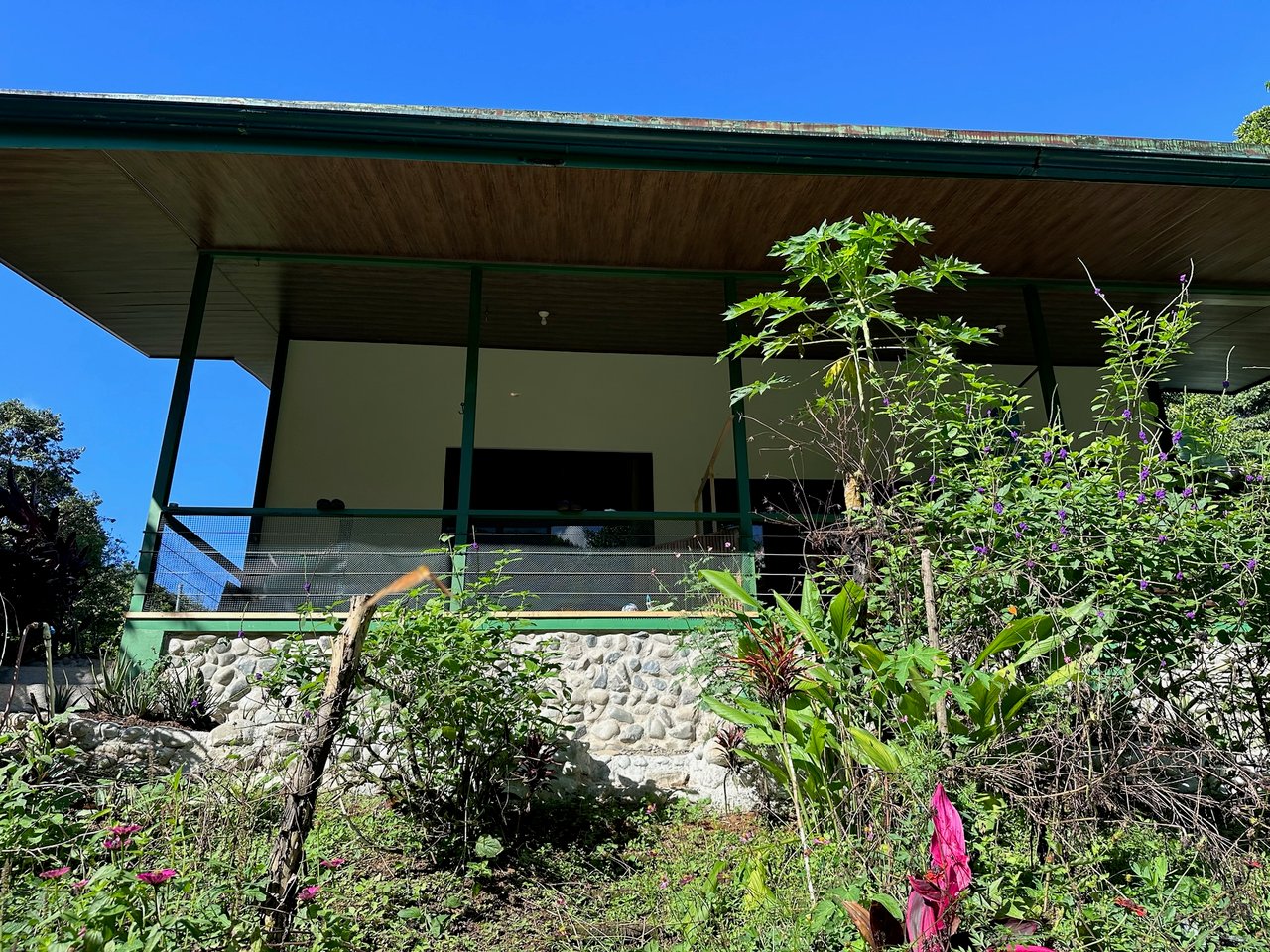 Sustainable Living Farm to Table with Home, Guest House ,Tinamastes on the River