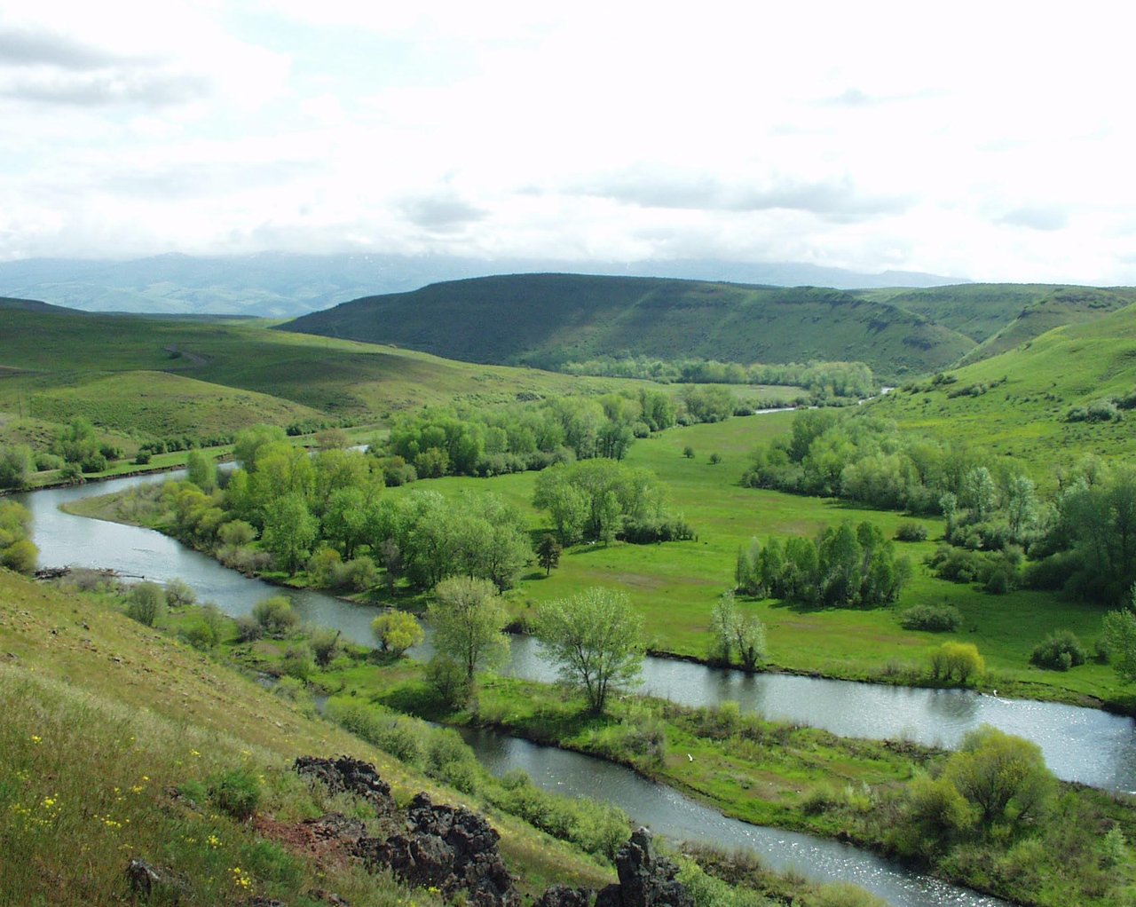 Cuddy Mountain Ranches