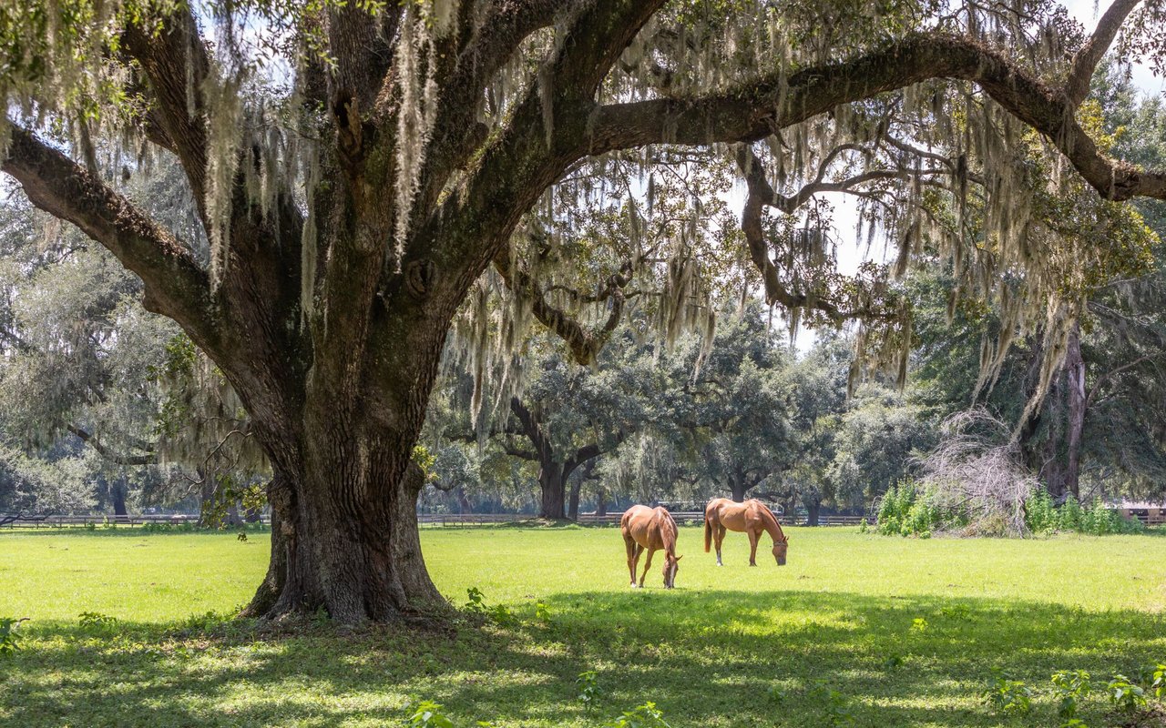 Johns Island