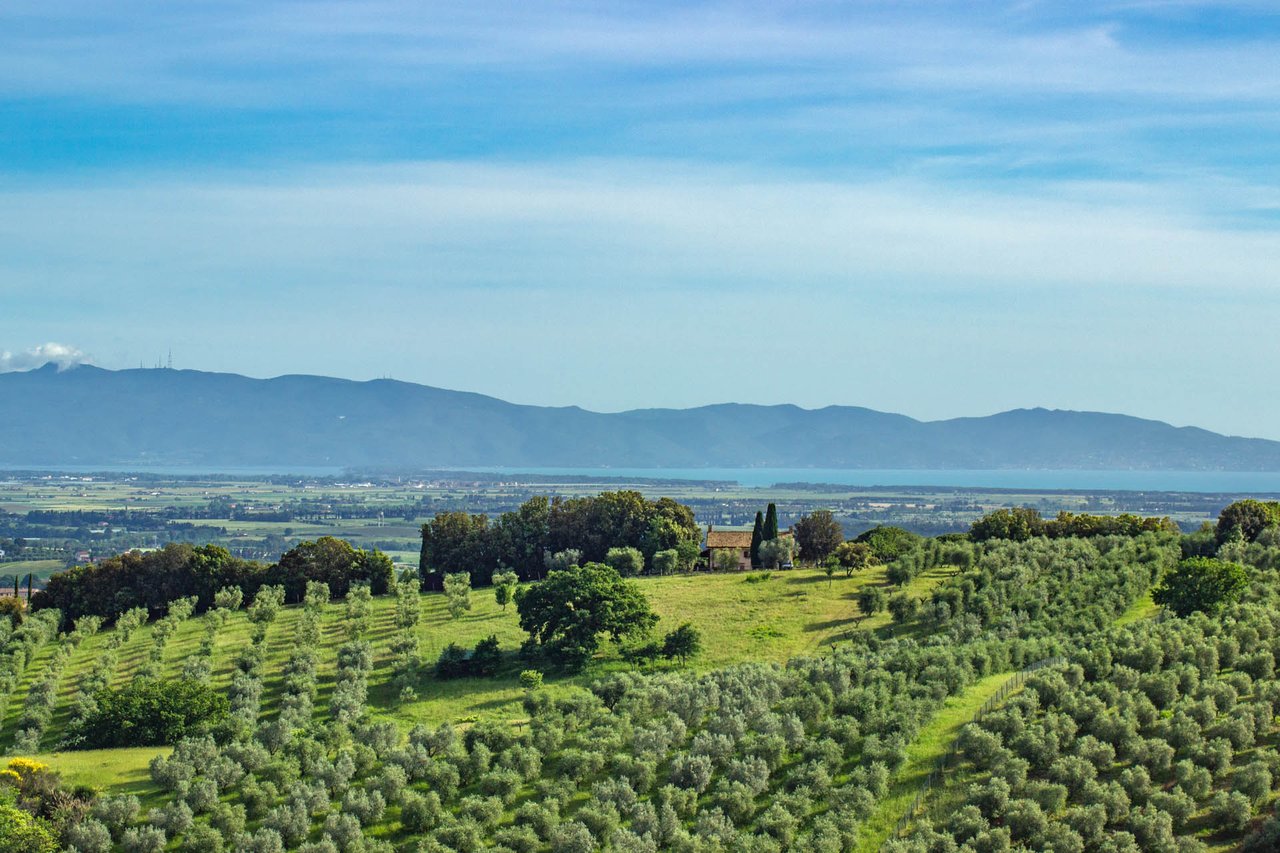 Casale - Magliano