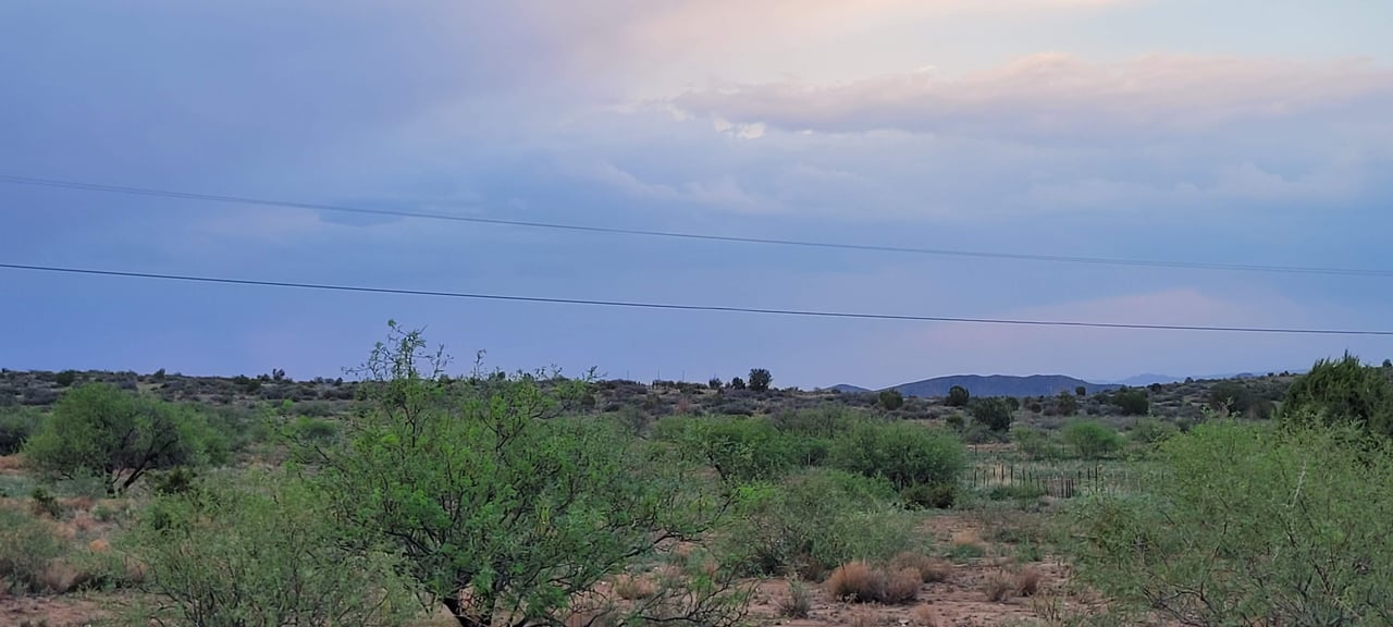 Blue Bell Quarter Horses