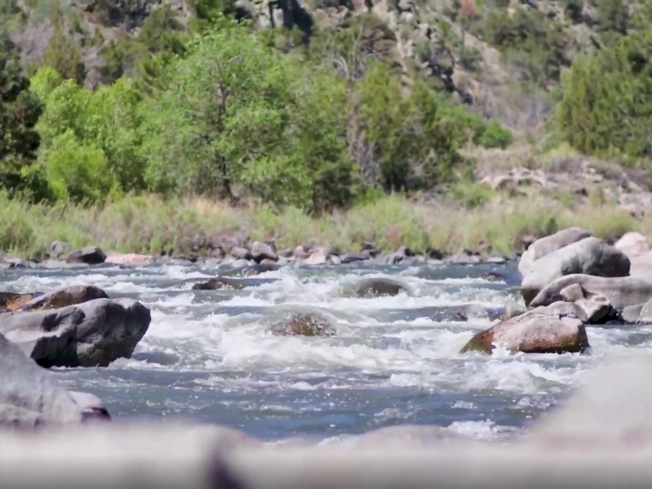 From Calm to Class III: Monica Goes Whitewater Rafting in Cañon City