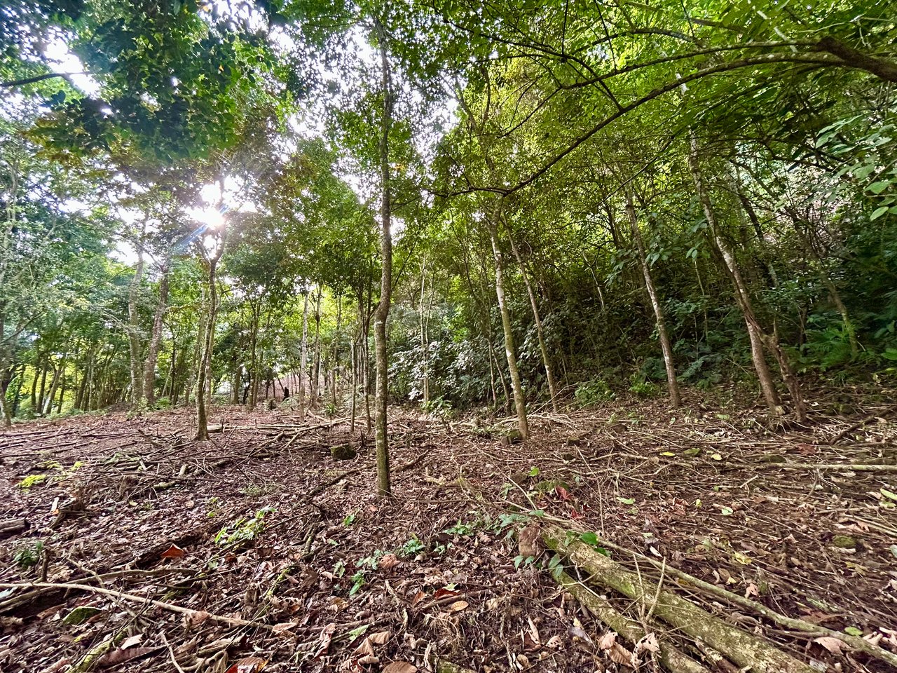 Tawal Lots for Sale – Prime Commercial & Residential Opportunity