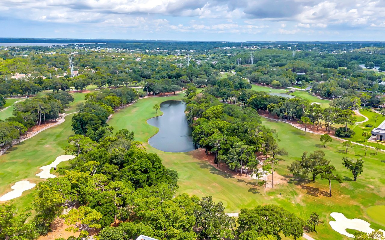 Palm Harbor