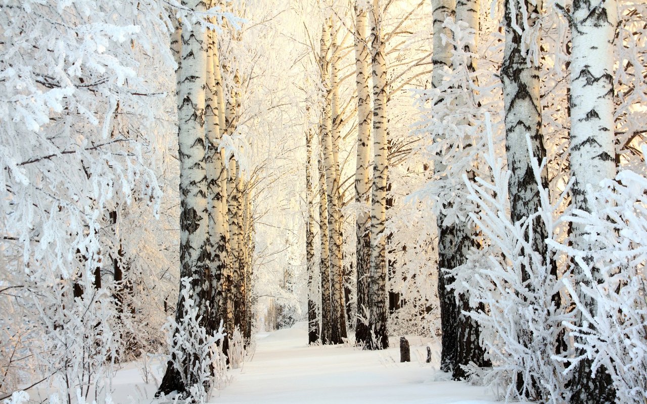 Portland Maine Winter Destination