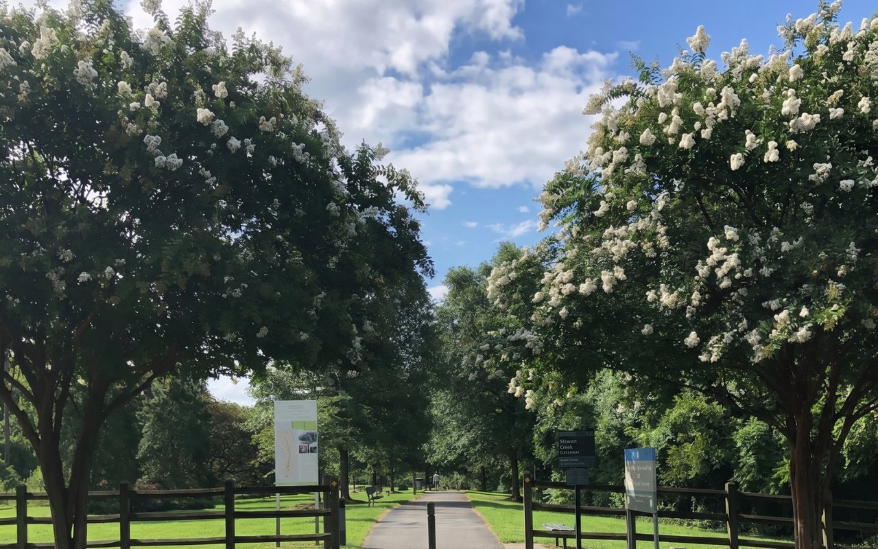 Embrace Summer at These 6 Charlotte-Area Parks and Greenways