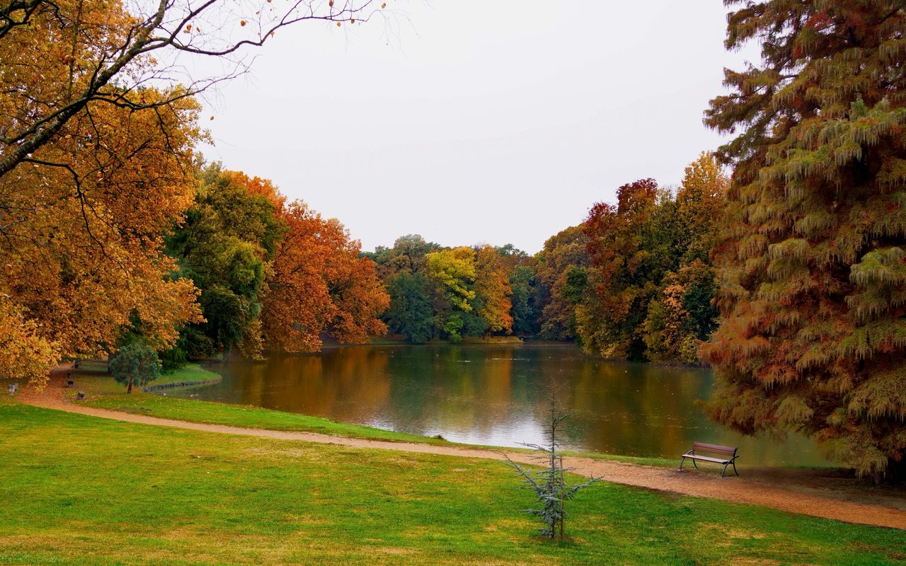 Autumn park lake edged by colorful trees, with a curving path and bench.