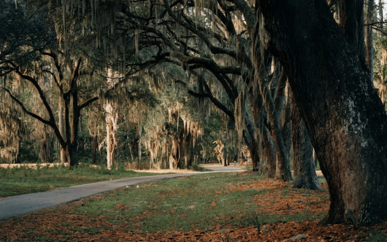 A Look Inside Summerville's Hottest Residential Communities