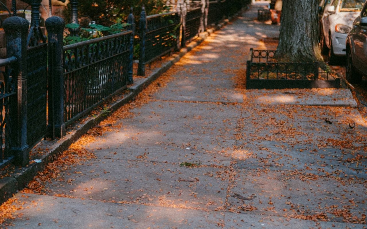 Top Outdoor Activities in Park Slope, Brooklyn