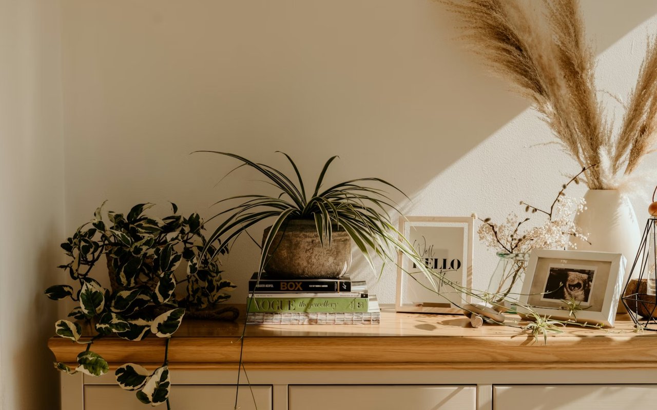 Best Interior Design Tips for Tucson, AZ, Homes