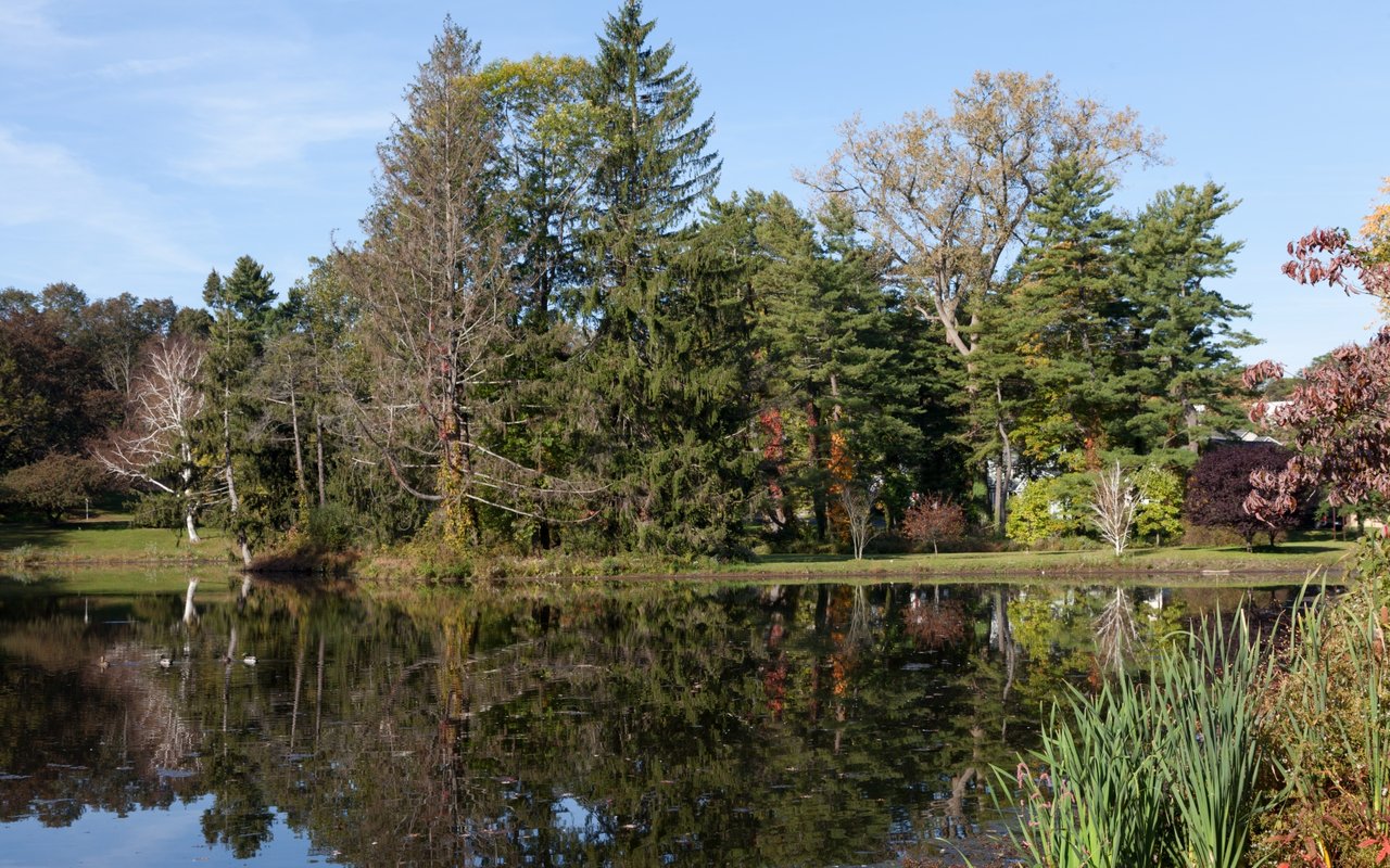 New Canaan