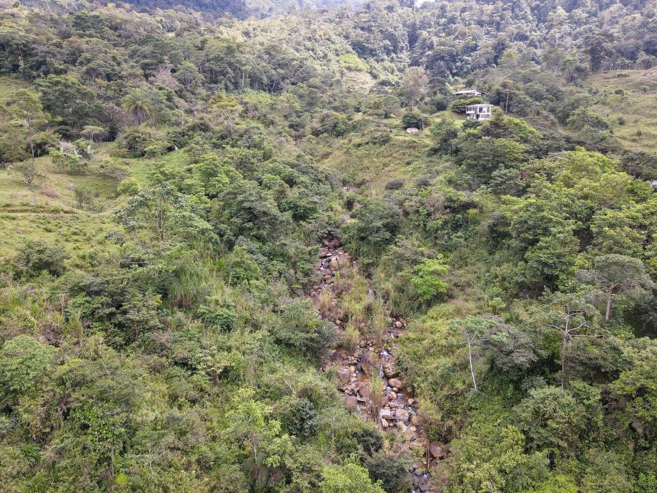 Sustainable Organic Mountain Farm, Perez Zeledon, San Jose