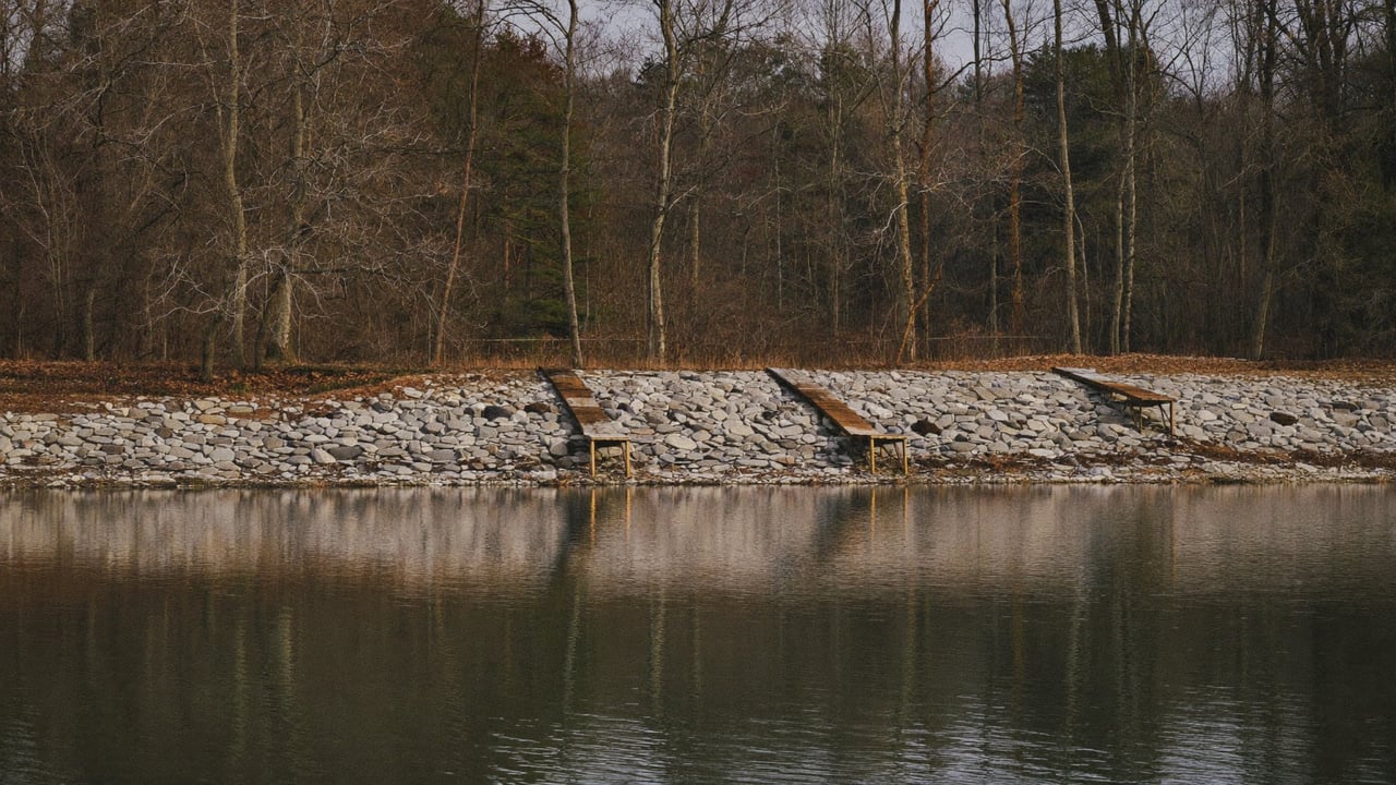 Where Candlewood's Weeds Went, and When They Come Back: FirstLight's 2025 Filing to FERC, Read for a Buyer