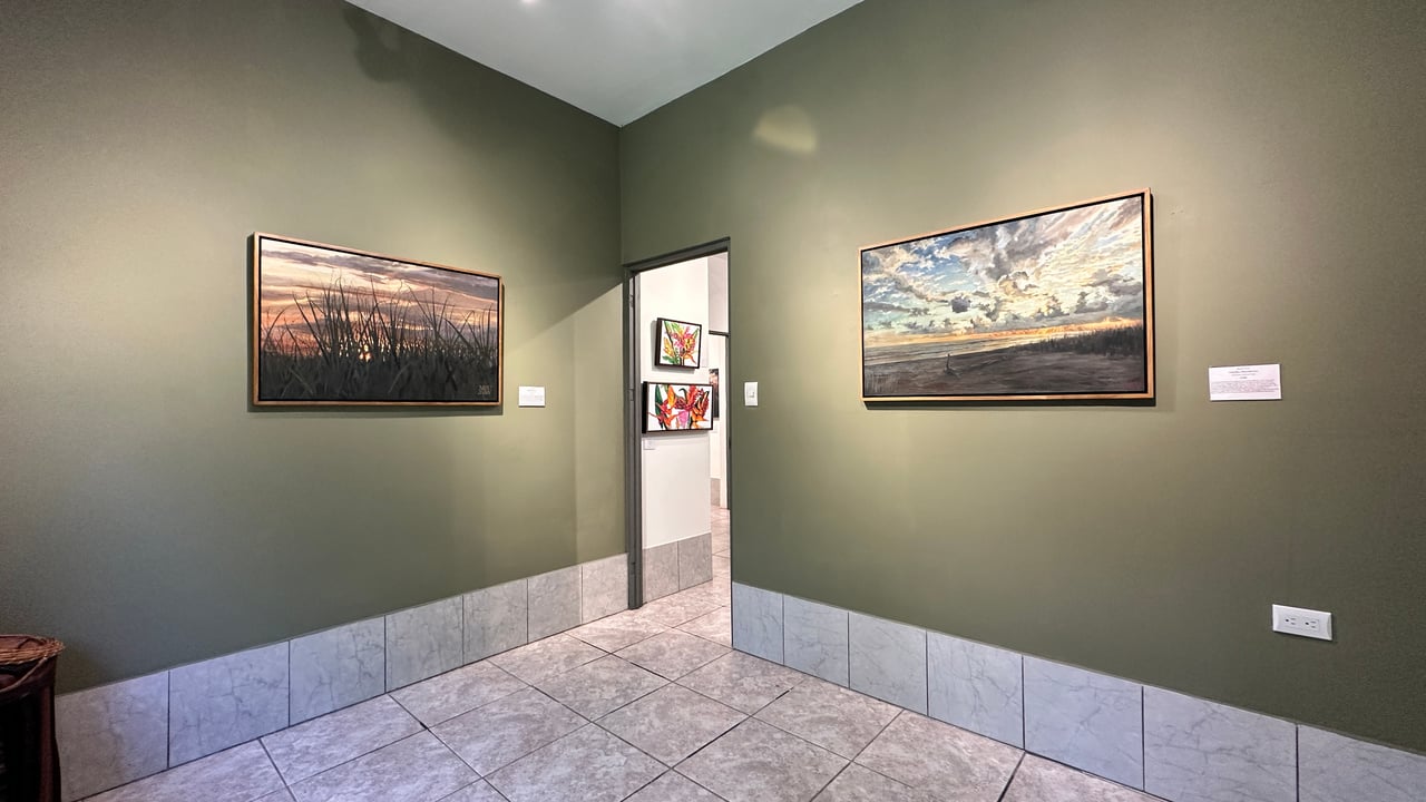 Commercial Space In Prime High Traffic Area in Uvita Costa Rica with garden