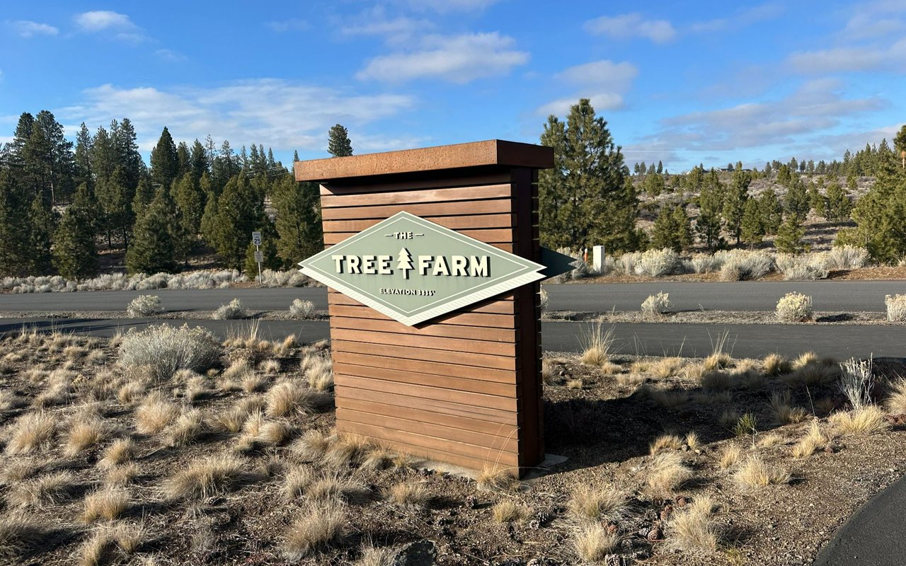 Tree Farm