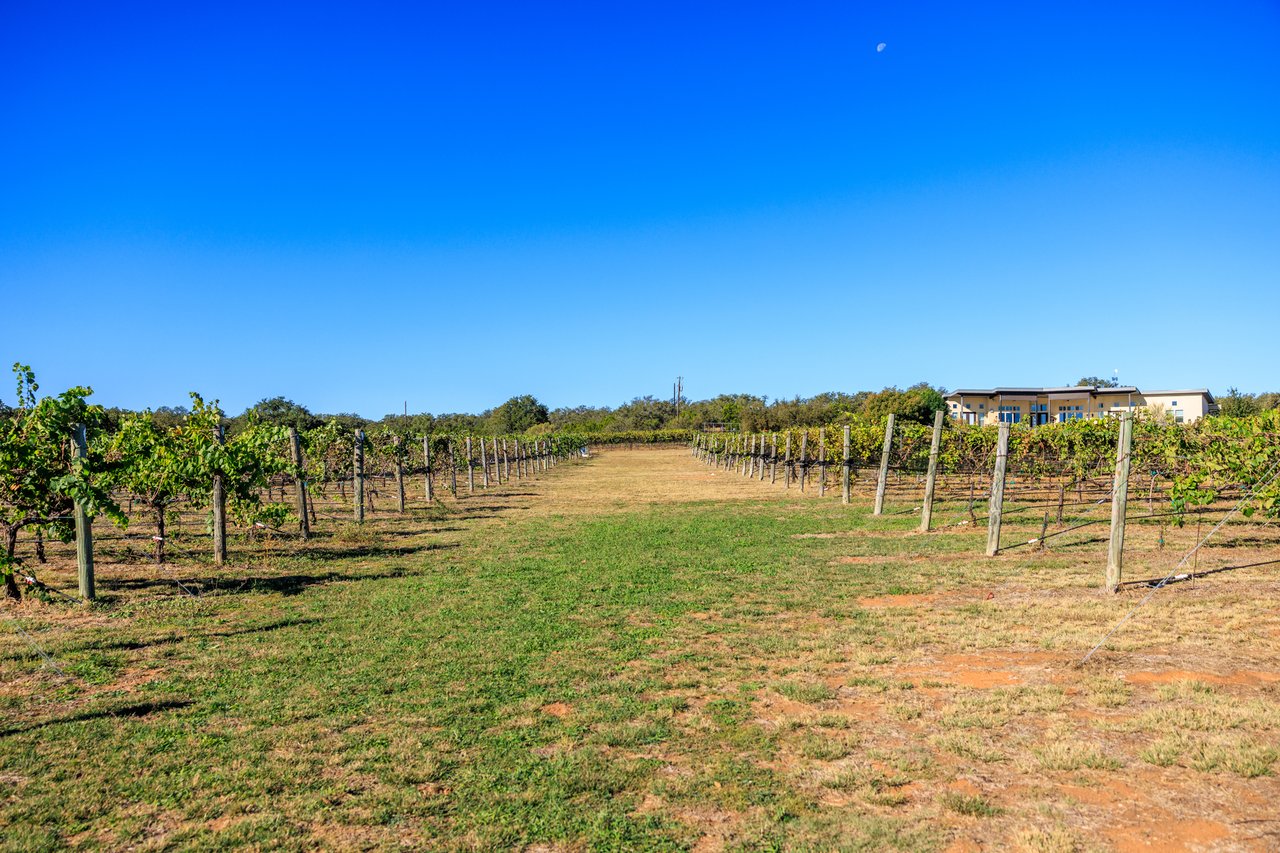 Round Mountain Vineyard