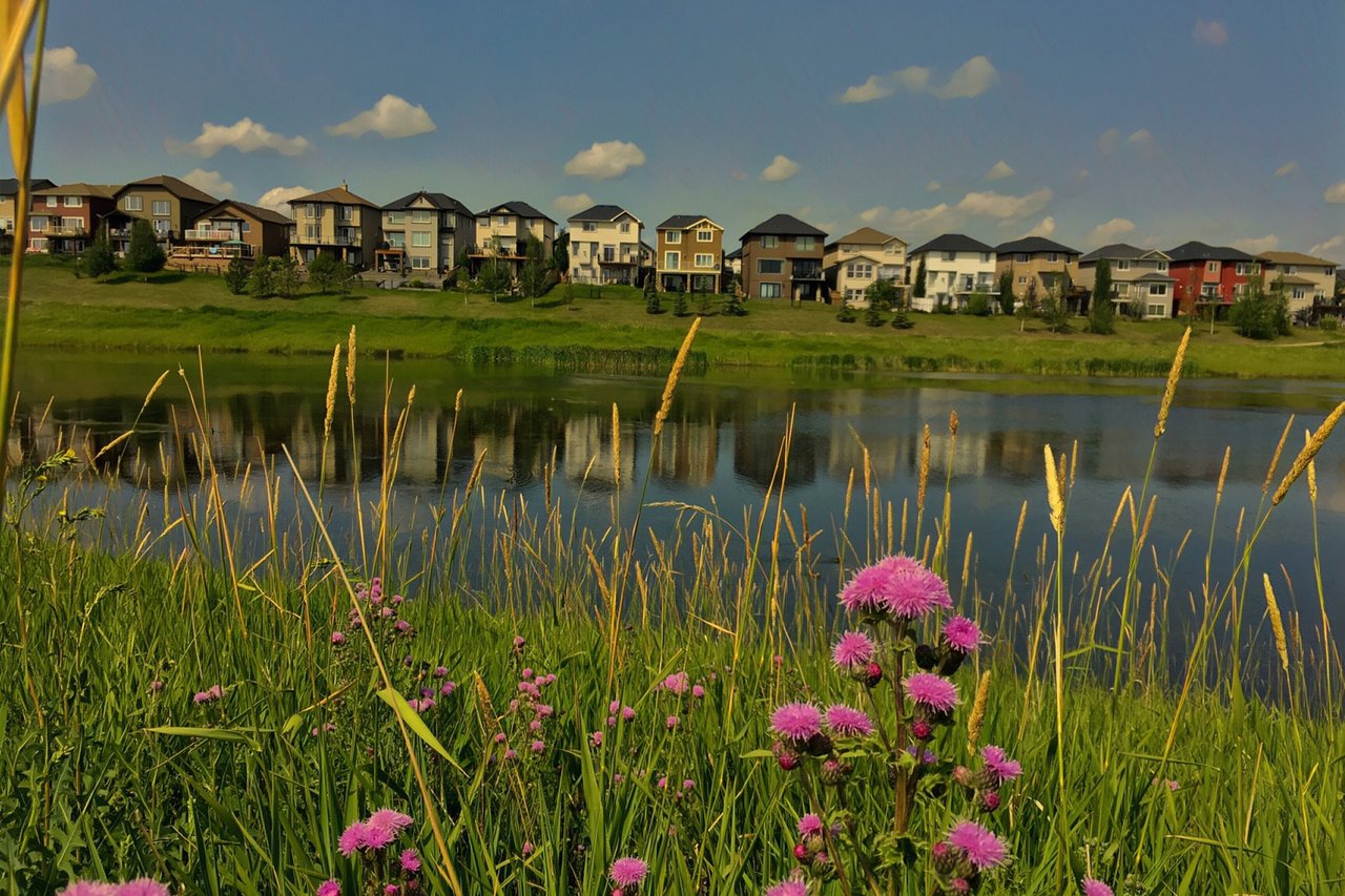 Pond and homes along a natural green space in Sage Hill, northwest Calgary.