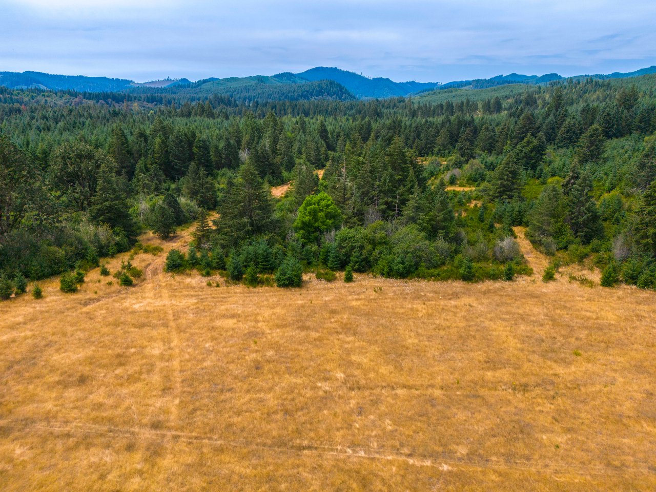 Sheffler Farm & Forest