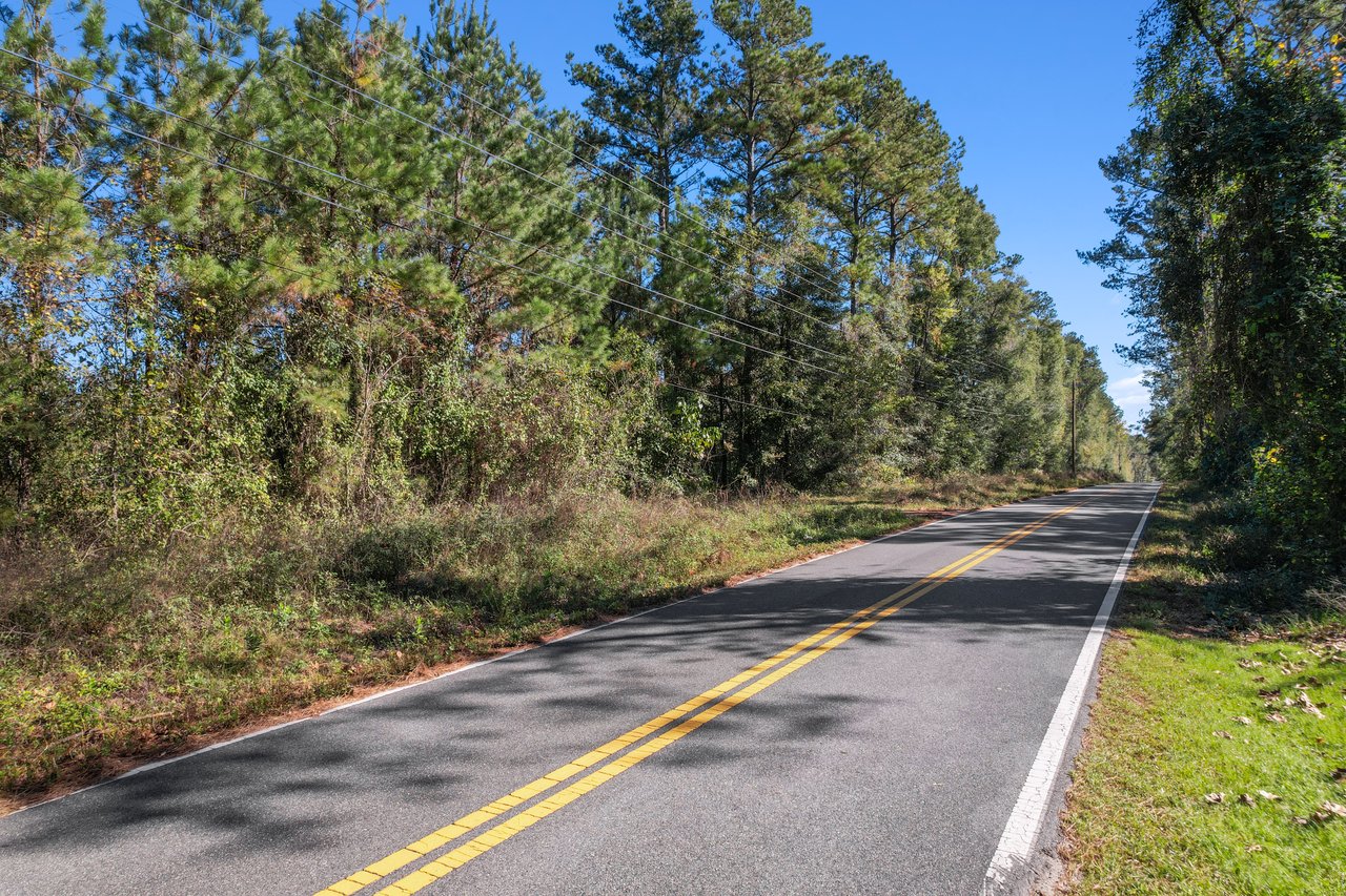 A quiet, two-lane road with yellow lines winds through dense, sunlit green forest under a clear blue sky, evoking a peaceful, serene mood.
