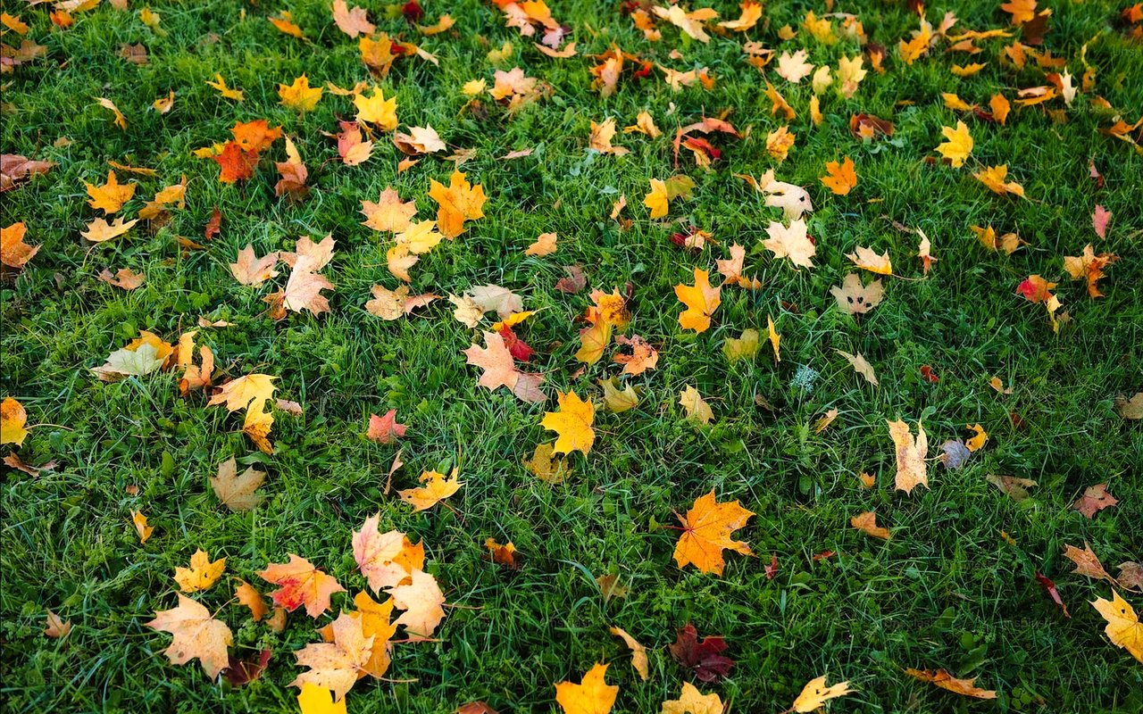 Holland, MI Through the Seasons: Home Maintenance Tips