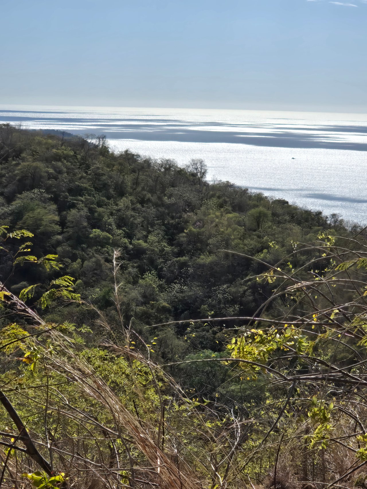 Vista Miramar Estate Lot, Pacific Heights