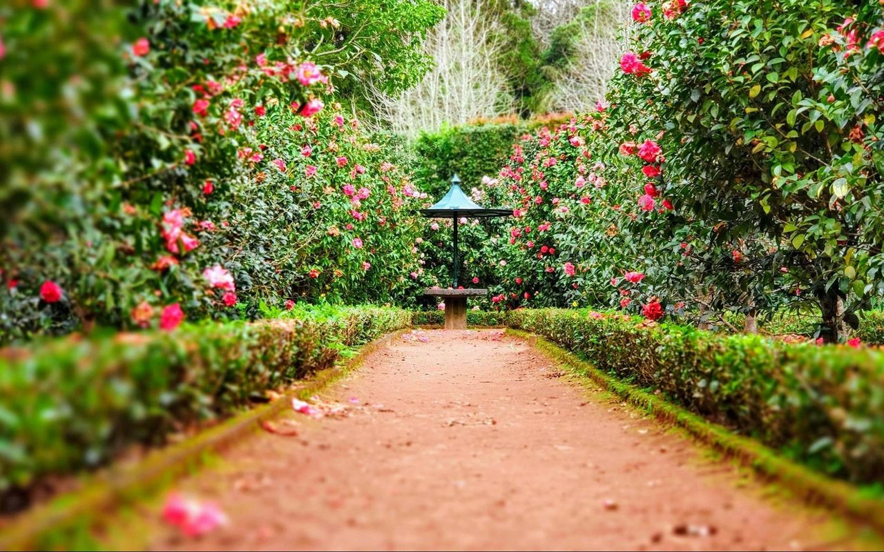 Amenities and Landmarks in Santa Rosa, CA
