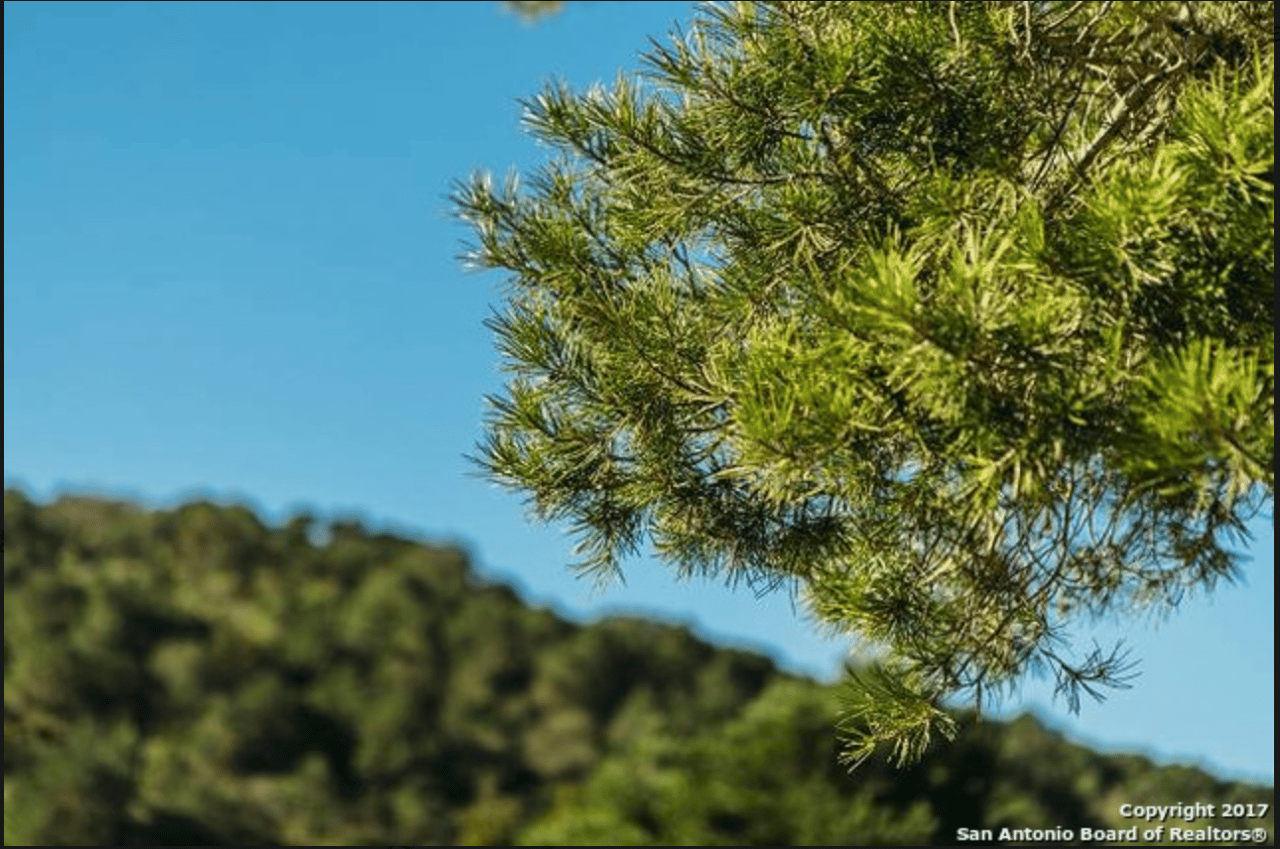 822 Acres in Uvalde Double Knobs Mountain Ranch