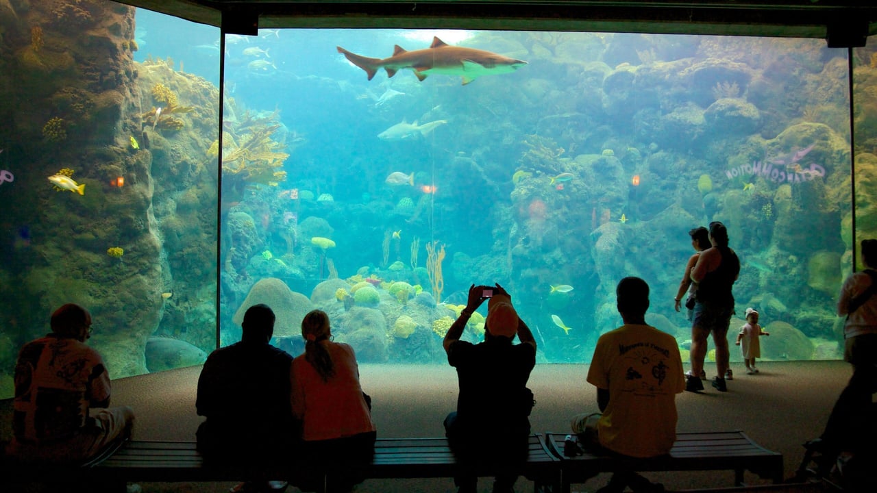 Visitors exploring The Florida Aquarium in downtown Tampa
