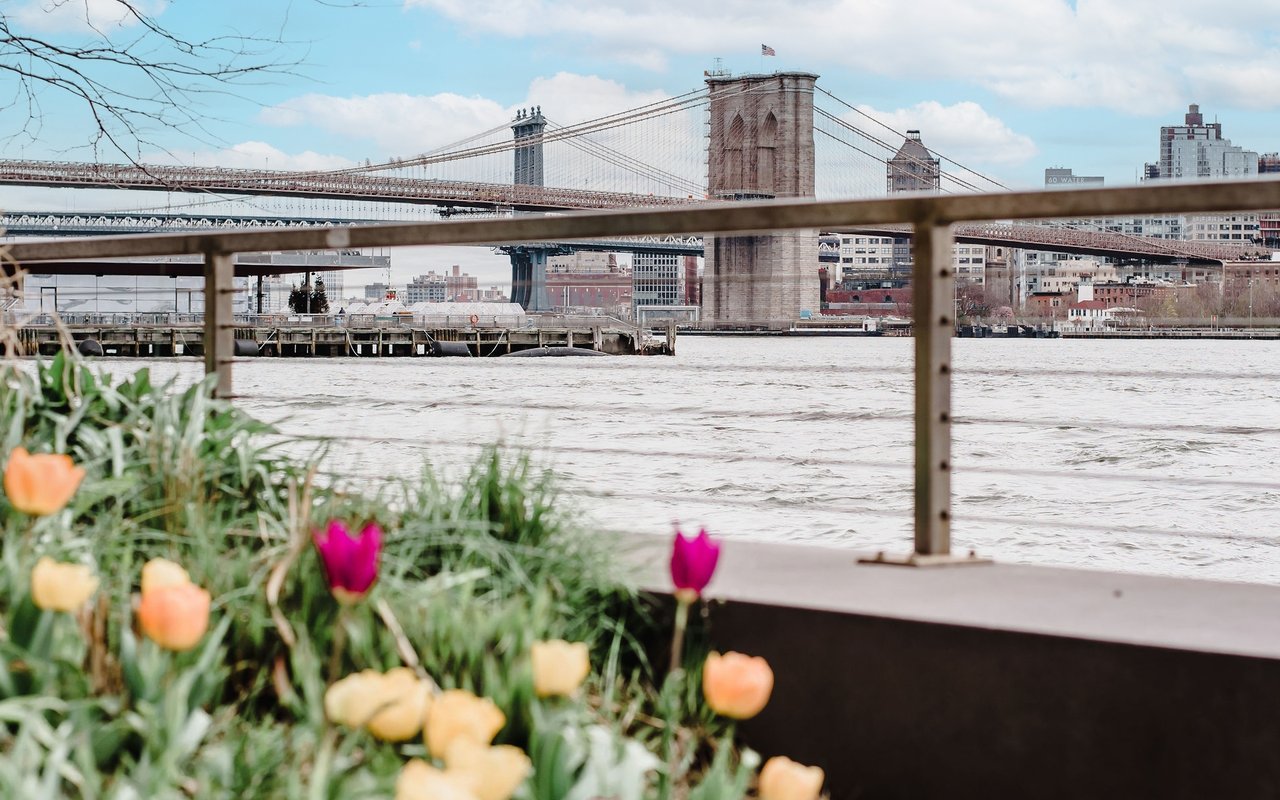 Spring Market Insights: Acting Before the Crowd