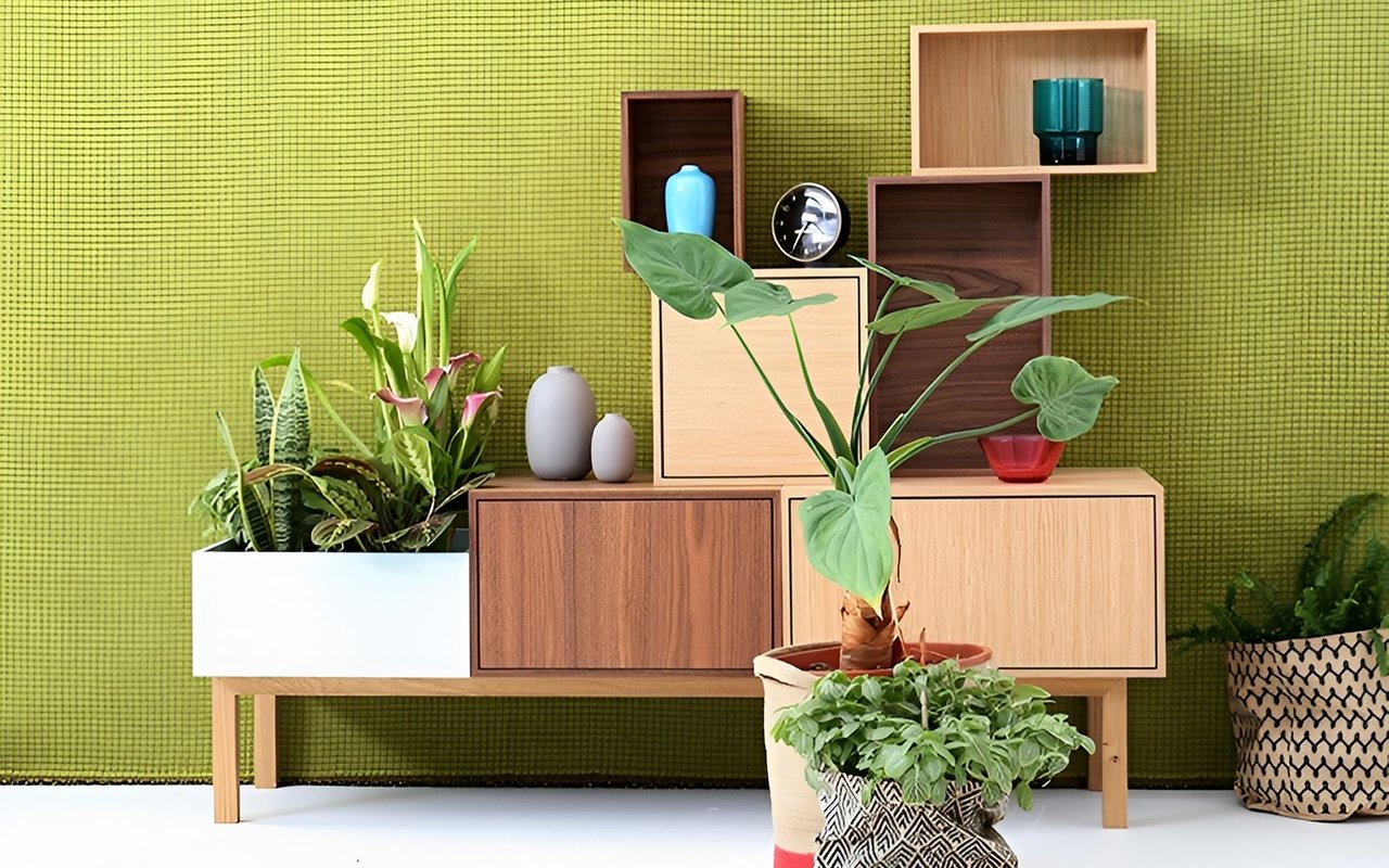 Wooden sideboard with potted plants and ceramic vases against a textured olive-green wall.