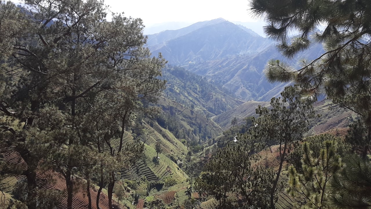 13.48 Acres (approx) of Prime Mountain Land in Morne Obleon (Furcy), Haiti