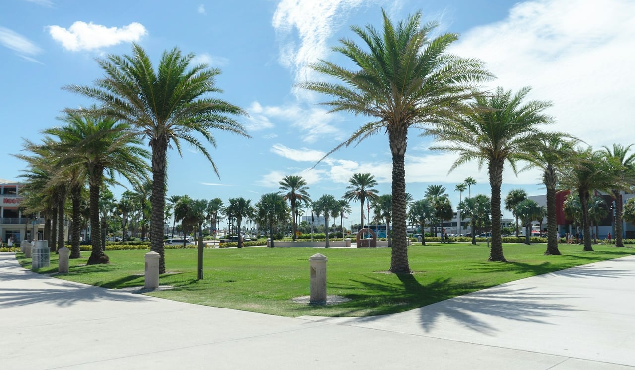 Palm-lined plaza with a green lawn and commercial buildings on a sunny day.