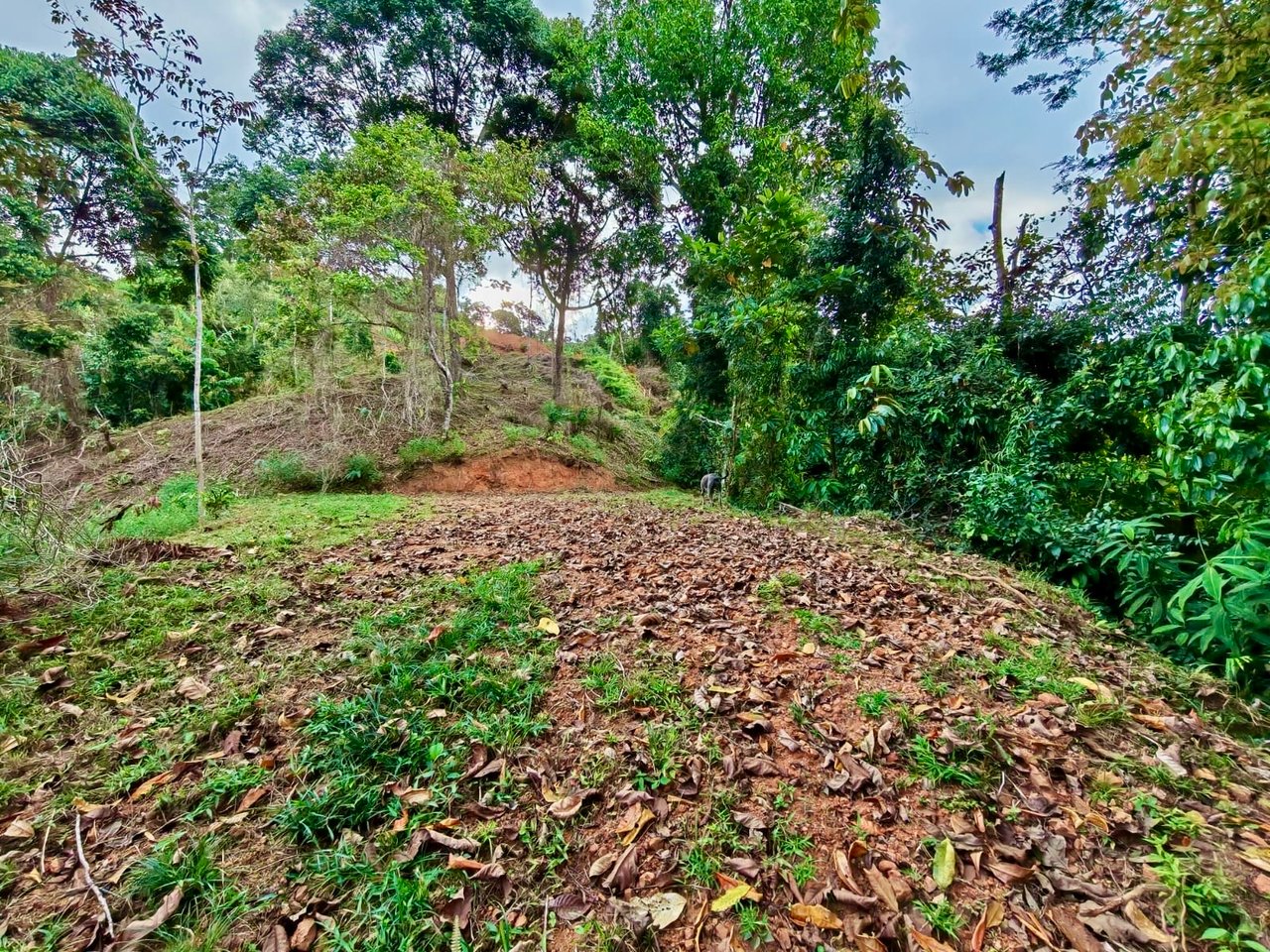 24.7-Acre Ocean View Eco Estate in San Cristóbal de Aguirre | 5 Building Sites