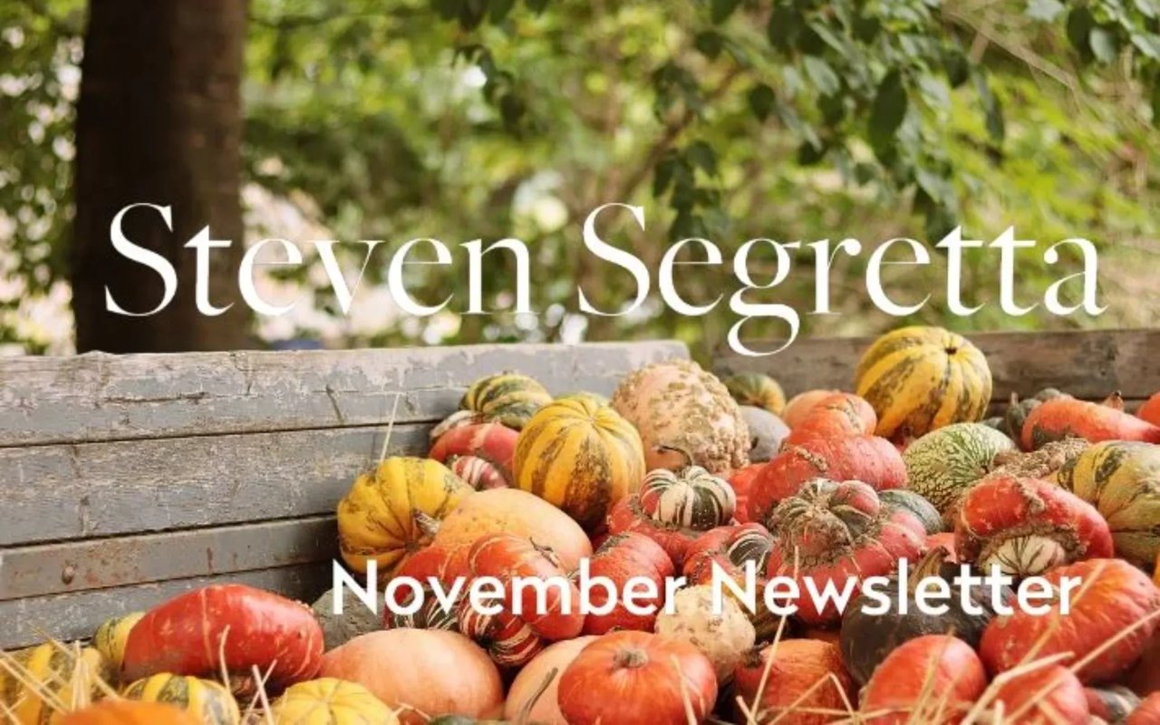 Monthly Newsletter - November 2023