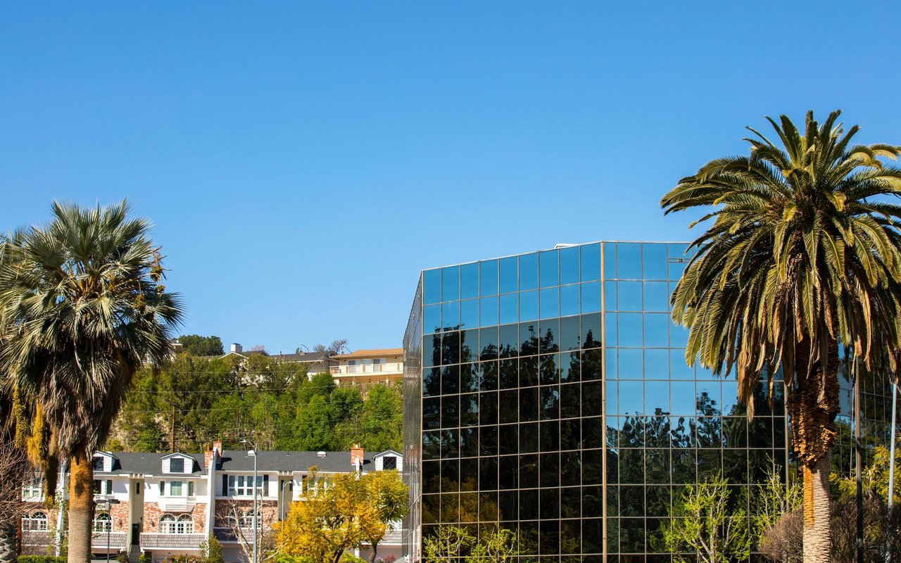 Reflective office building and palm trees beside low-rise homes on a sunny day.