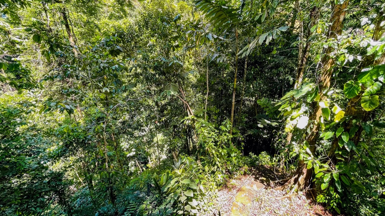 Nature Retreat Estate – Southern Pacific Zone, Costa Rica