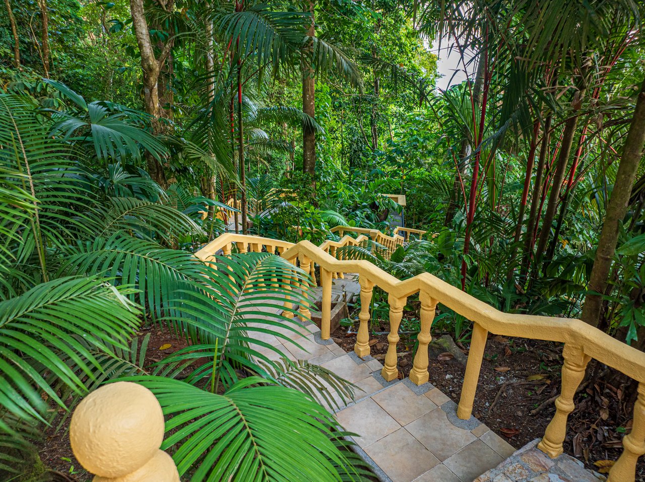 Nido Escondido, Playa Dominical