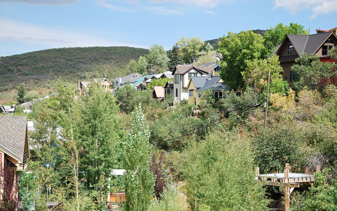 Hillside neighborhood homes among leafy trees, with a wooded ridge behind them.