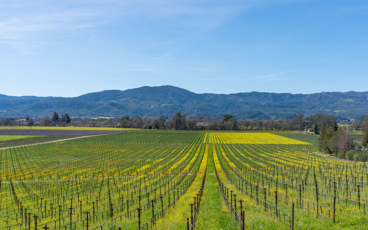 Napa County