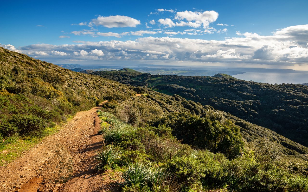 Trails 