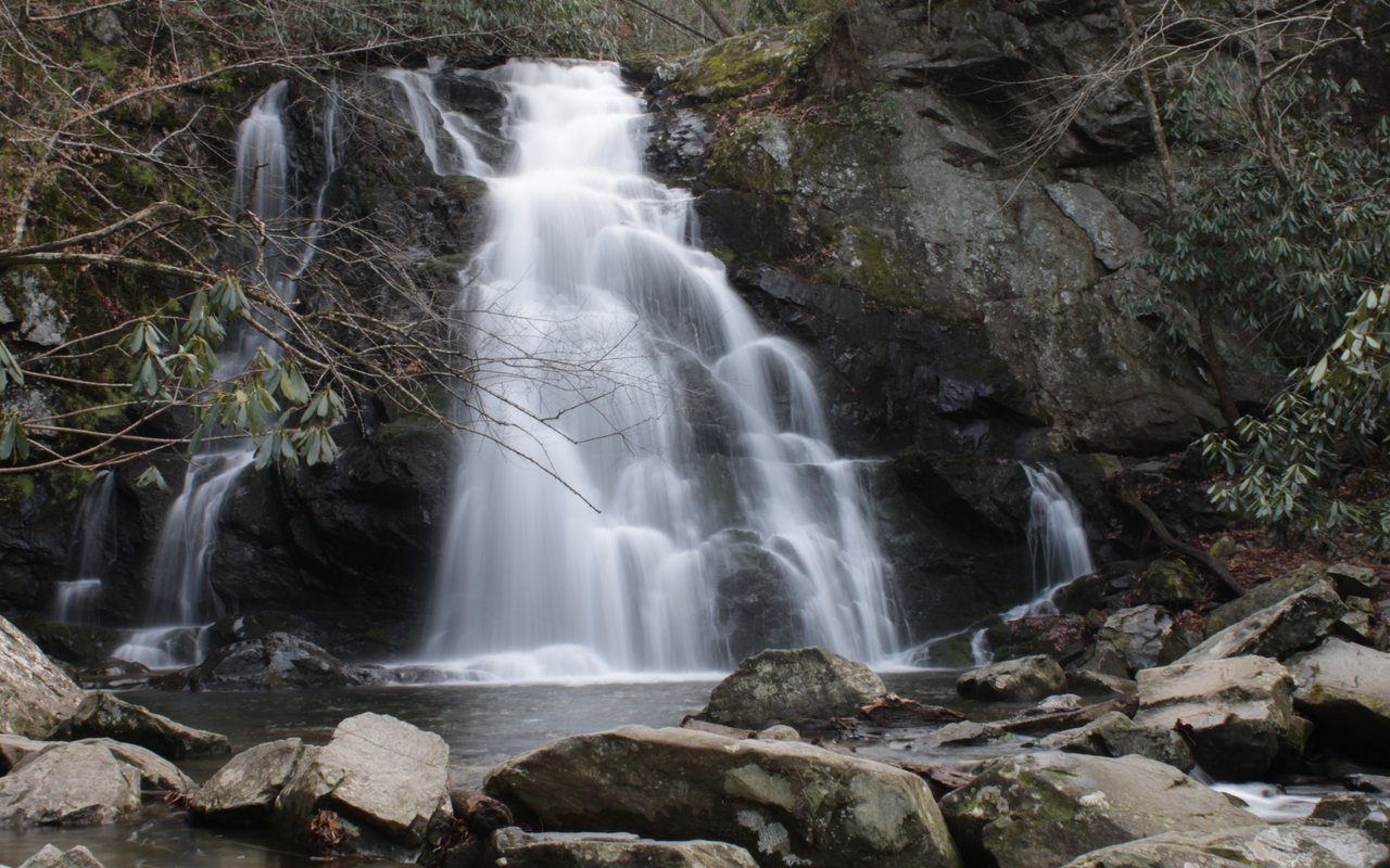 Nellysford