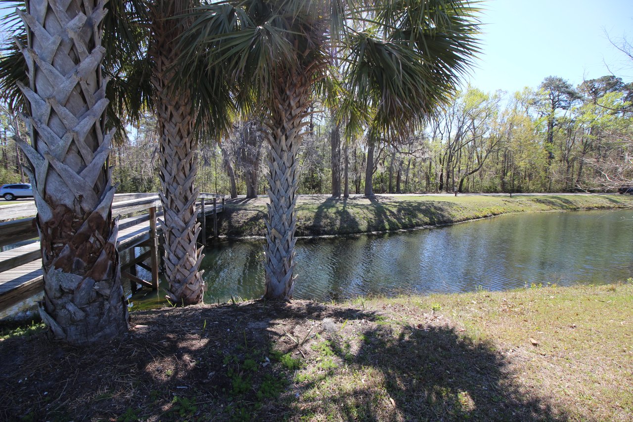 Hilton Head Plantation