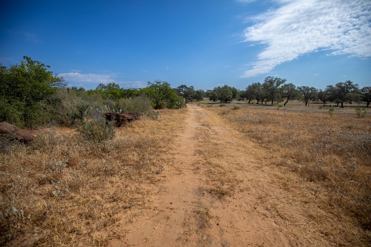 Oaks, Wildlife, & the Quiet of the Countryside | 26.99± Acres | Poteet, TX