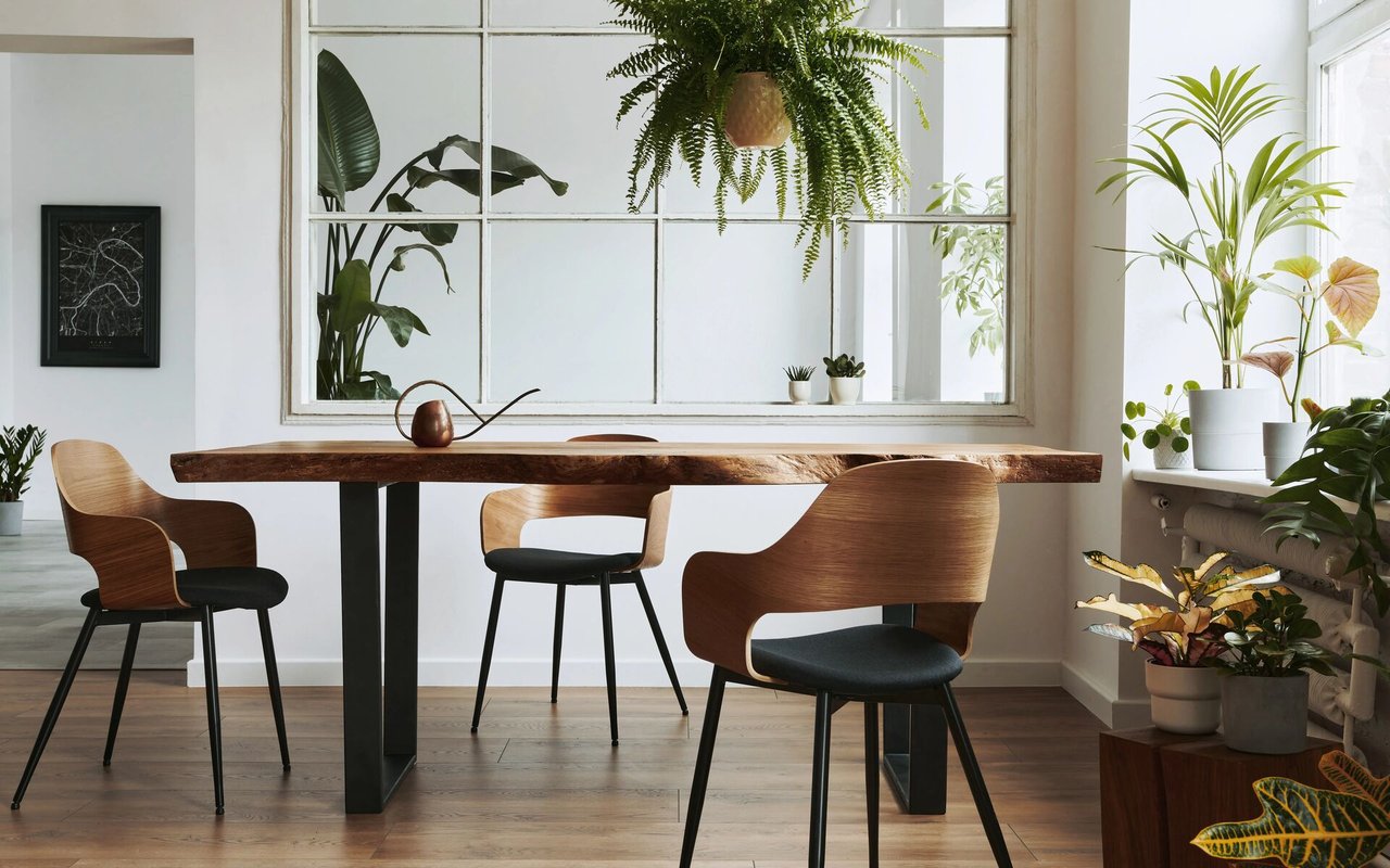 Dining area with a live-edge wooden table, sculptural chairs, large windows, and leafy plants.