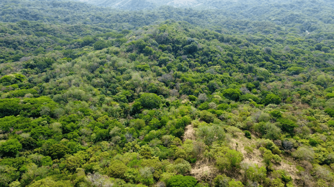 Eco Sanctuary In Playa Marbella - 250 Acre Riverfront