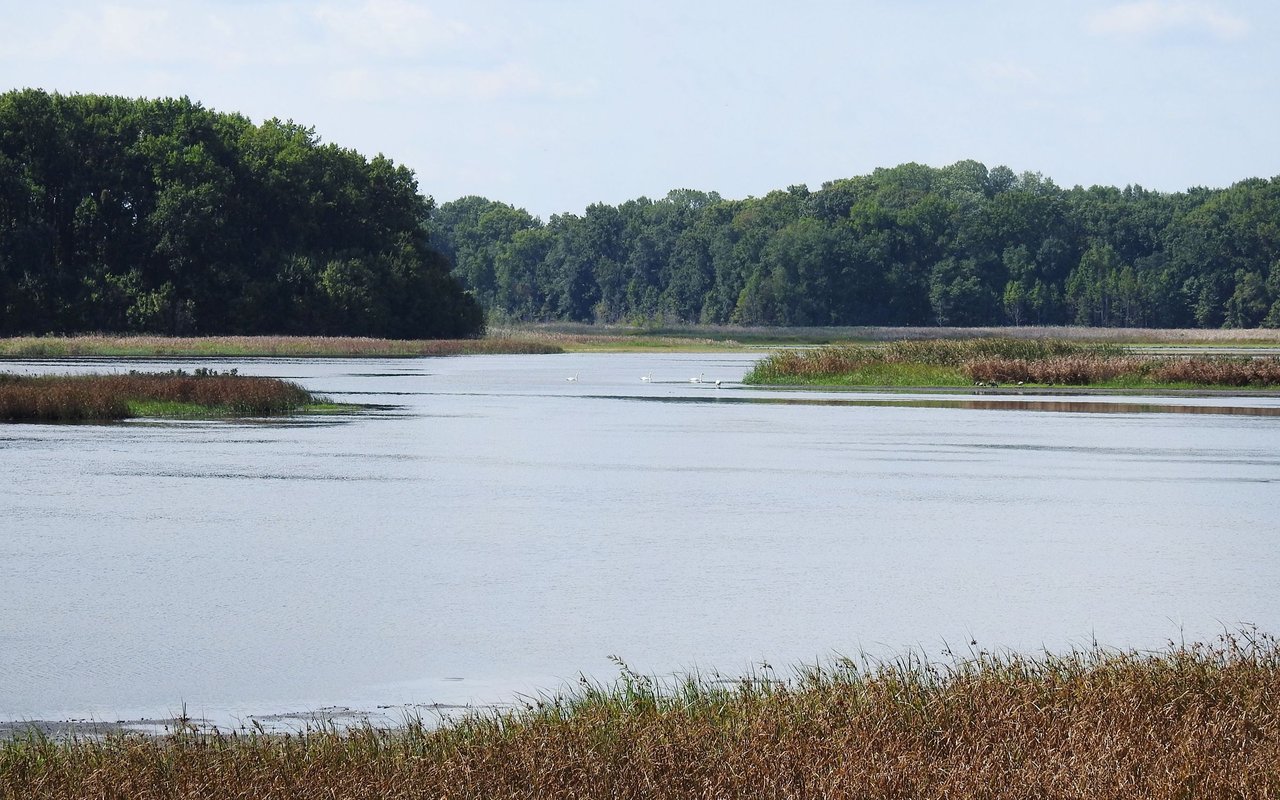 Smyrna