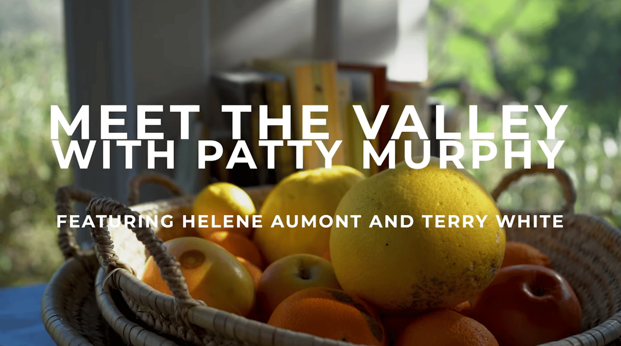 Meet the Valley: House Tour: Helene Aumont and Terry White