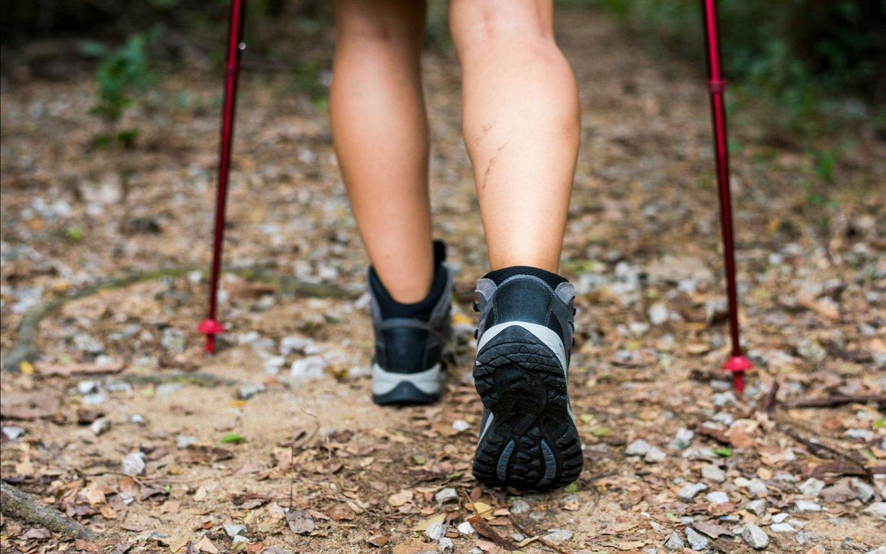 Hiker walking along a rocky forest trail with red trekking poles.